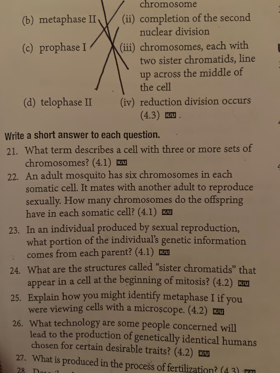(b) metaphase II
(c) prophase I
(d) telophase II
chromosome
(ii) completion of the second
nuclear division
(iii) chromosomes, each with
two sister chromatids, line
up across the middle of
the cell
(iv) reduction division occurs
(4.3) KU
Write a short answer to each question.
21. What term describes a cell with three or more sets of
chromosomes? (4.1) KU
22. An adult mosquito has six chromosomes in each
somatic cell. It mates with another adult to reproduce
sexually. How many chromosomes do the offspring
have in each somatic cell? (4.1) KU
23. In an individual produced by sexual reproduction,
what portion of the individual's genetic information
comes from each parent? (4.1) K/U
:
24. What are the structures called "sister chromatids" that
appear in a cell at the beginning of mitosis? (4.2) KU
25. Explain how you might identify metaphase I if you
were viewing cells with a microscope. (4.2) KU
26. What technology are some people concerned will
lead to the production of genetically identical humans
chosen for certain desirable traits? (4.2) KU
27. What is produced in the process of fertilization? (43)
28. Dec 1
