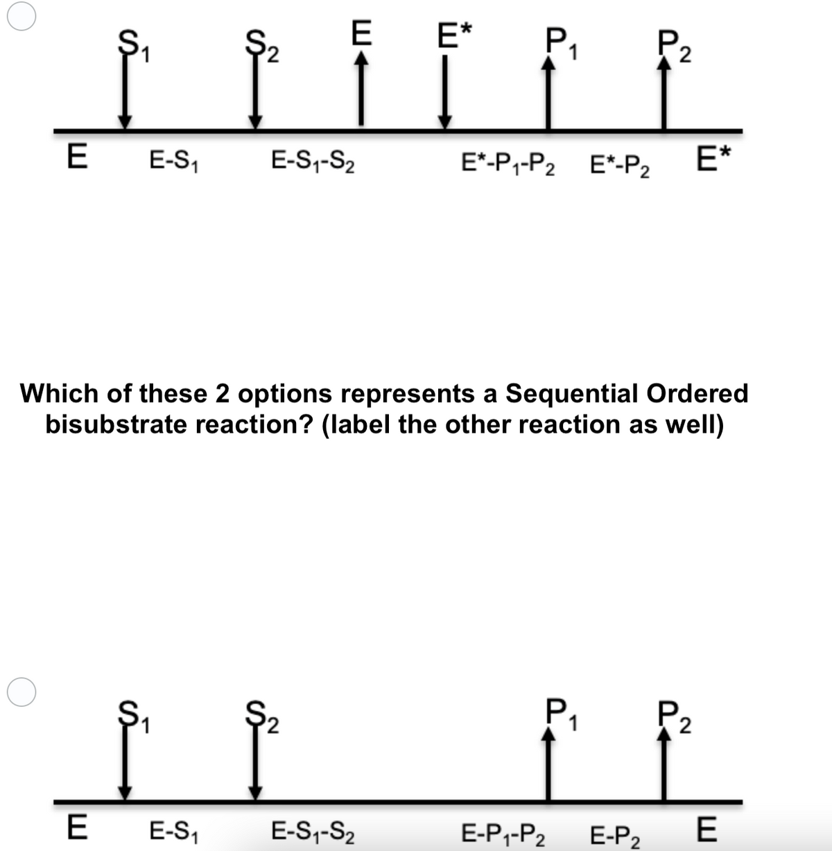 E*
S
P₁₁ P₂
E E-S₁
E-S₁-S₂
E-P₁-P₂ E*-P₂ E*
Which of these 2 options represents a Sequential Ordered
bisubstrate reaction? (label the other reaction as well)
P₁
P₂
E-S₁-S₂
E-P₁-P₂ E-P₂ E
is
E E-S₁
S
E◄