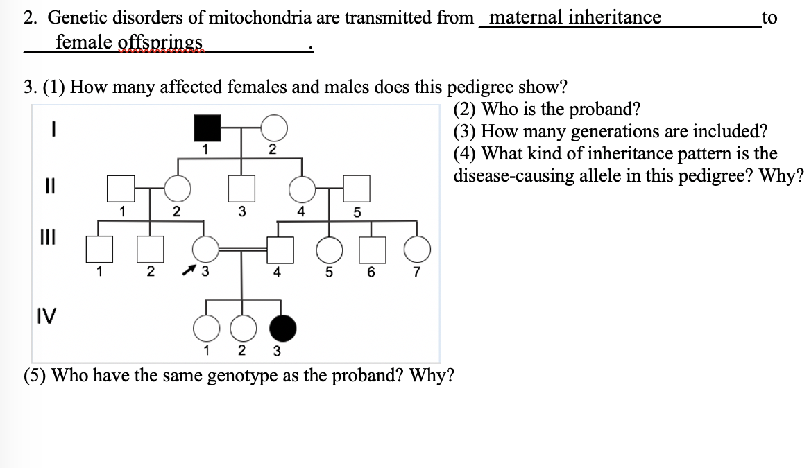 2. Genetic disorders of mitochondria are transmitted from_maternal inheritance
female offsprings
to
3. (1) How many affected females and males does this pedigree show?
(2) Who is the proband?
(3) How many generations are included?
(4) What kind of inheritance pattern is the
disease-causing allele in this pedigree? Why?
1
2
II
3
4
II
1
4
7
IV
1
2
(5) Who have the same genotype as the proband? Why?
