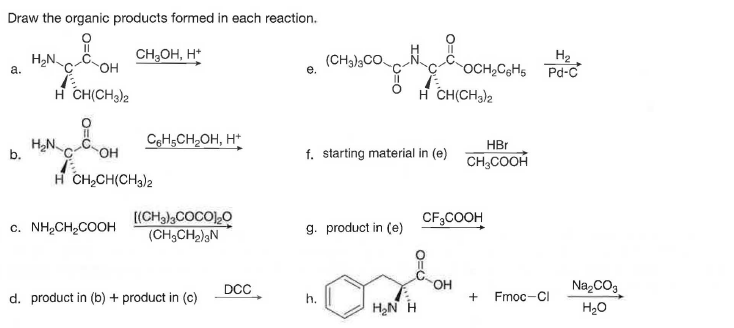 Draw the organic products formed in each reaction.
H,N.
a.
CH;OH, H*
OH
(CH3),CO.
е.
H2
OCH,C3H5 Pd-C
H CH(CH3)2
H CH(CHa)2
H2N
b.
CeHsCH,OH, H*
HBr
но.
f. starting material in (e)
CH,COOH
H CH,CH(CH3)2
[(CH3),COCOLO
(CH3CH2);N
CF;COOH
с. NH,CH2COOH
g. product in (e)
DCC
OH
NazCO3
d. product in (b) + product in (c)
Fmoc-CI
H,N H
H20
