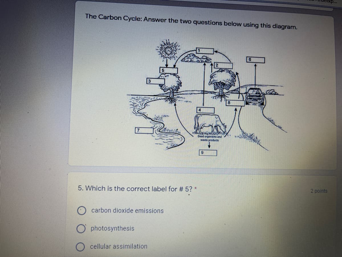 The Carbon Cycle: Answer the two questions below using this diagram.
Dead organisms and
waste products
5. Which is the correct label for # 5? *
2 points
carbon dioxide emissions
O photosynthesis
cellular assimilation

