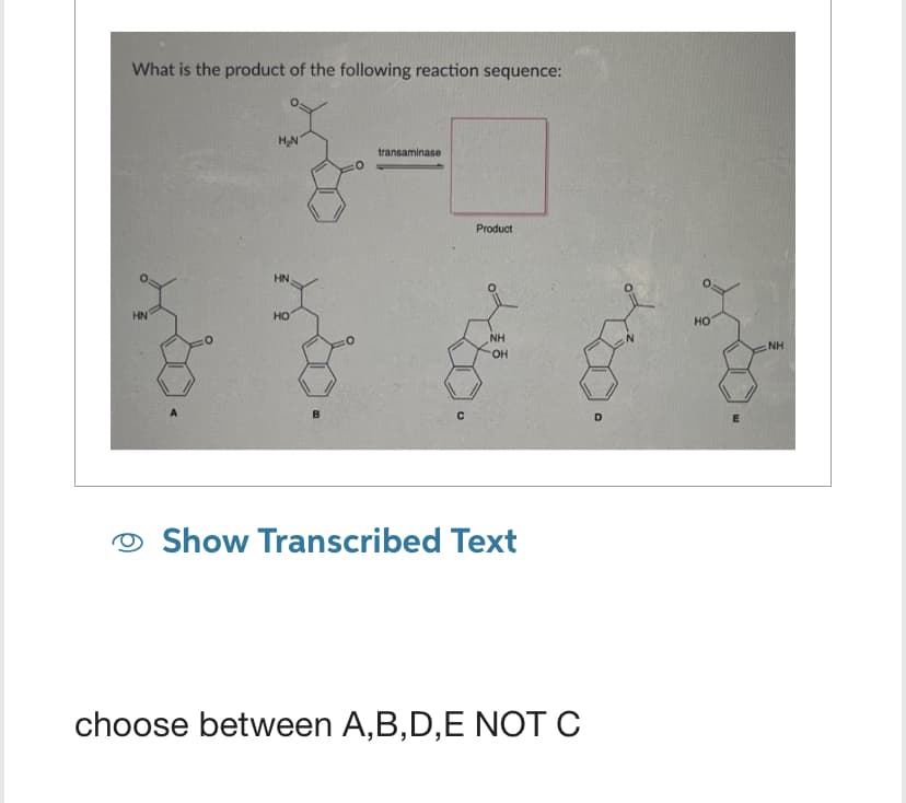 What is the product of the following reaction sequence:
HN
H₂N
HN
HO
B
transaminase
C
Product
NH
OH
Show Transcribed Text
choose between A,B,D,E NOT C
D
HO
E
NH