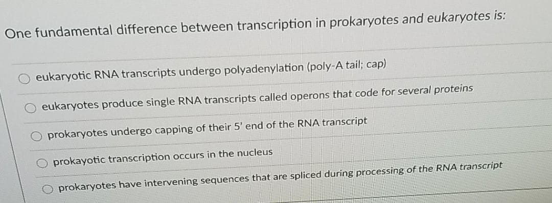 One fundamental difference between transcription in prokaryotes and eukaryotes is:
eukaryotic RNA transcripts undergo polyadenylation (poly-A tail; cap)
eukaryotes produce single RNA transcripts called operons that code for several proteins
prokaryotes undergo capping of their 5' end of the RNA transcript
prokayotic transcription occurs in the nucleus
O prokaryotes have intervening sequences that are spliced during processing of the RNA transcript

