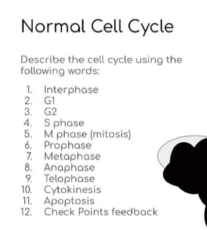Normal Cell Cycle
Describe the cell cycle using the
following words:
1. Interphase
2. G1
1
3. G2
4. S phase
5. Mphase (mitosis)
6. Prophase
7. Metaphase
8. Anaphase
9. Telophase
10. Cytokinesis
11. Apoptosis
12. Check Points feedback
