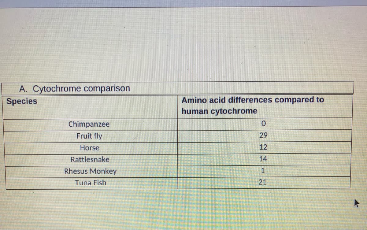 A. Cytochrome comparison
Species
Chimpanzee
Fruit fly
Horse
Rattlesnake
Rhesus Monkey
Tuna Fish
Amino acid differences compared to
human cytochrome
0
29
12
14
1
21