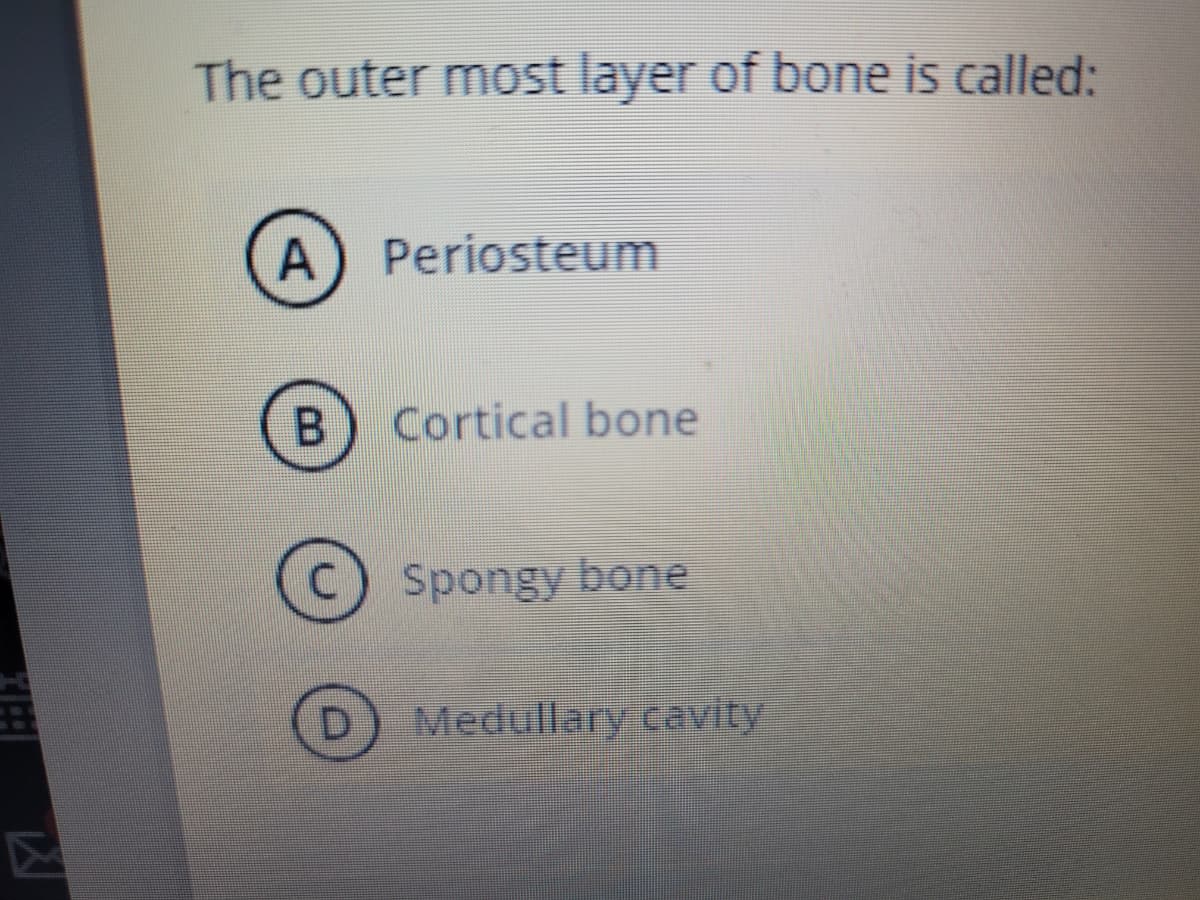 The outer most layer of bone is called:
A Periosteum
B
Cortical bone
Spongy bone
Medullary cavity
