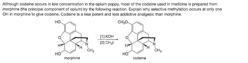 Although codeine occurs in low concentration in the opium poppy, most of the codeine used in medicine is prepared from
morphine (the principal component of opium) by the following reaction. Explain why selective methylation occurs at only one
OH in morphine to give codeine. Codeine is a less potent and less addictive analgesic than morphine.
но.
CH,0.
[1 кон
H
[2] CH3I
H.
CH3
H
Ho
morphine
H.
CH3
Ho
codeine
