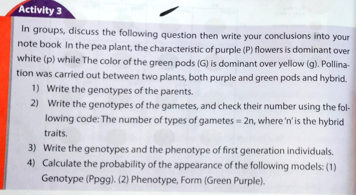 Activity 3
In groups, discuss the following question then write your conclusions into your
note book In the pea plant, the characteristic of purple (P) flowers is dominant over
white (p) while The color of the green pods (G) is dominant over yellow (g). Pollina-
tion was carried out between two plants, both purple and green pods and hybrid.
1) Write the genotypes of the parents.
2) Write the genotypes of the gametes, and check their number using the fol-
lowing code: The number of types of gametes = 2n, where 'n' is the hybrid
%3D
traits.
3) Write the genotypes and the phenotype of first generation individuals.
4) Calculate the probability of the appearance of the following models: (1)
Genotype (Ppgg). (2) Phenotype, Form (Green Purple).
