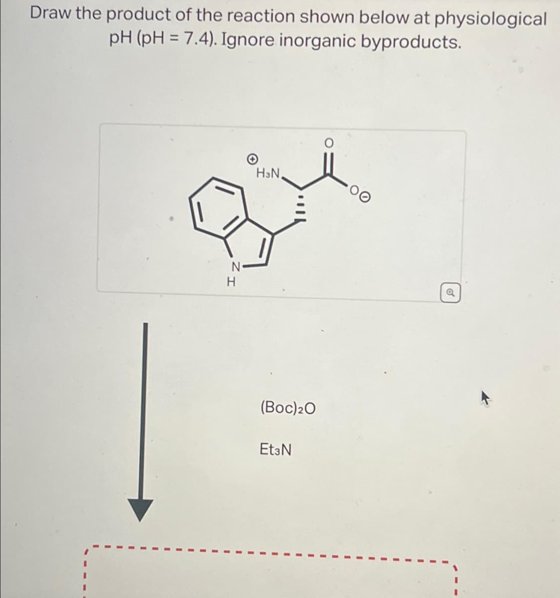 Draw the product of the reaction shown below at physiological
pH (pH = 7.4). Ignore inorganic byproducts.
N
H
H&N,
(Boc) 20
Et3N
Q