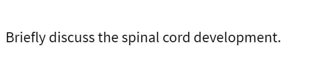 Briefly discuss the spinal cord development.