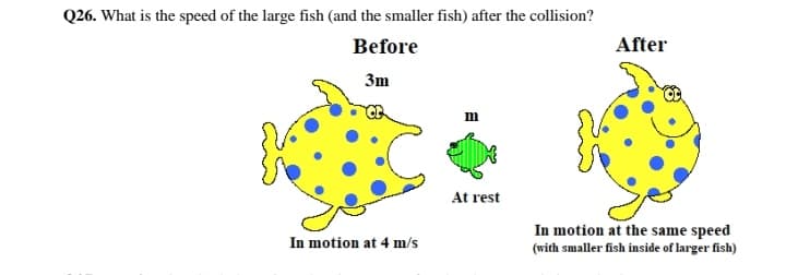 Q26. What is the speed of the large fish (and the smaller fish) after the collision?
Before
After
3m
m
At rest
In motion at the same speed
In motion at 4 m/s
(with smaller fish inside of larger fish)
