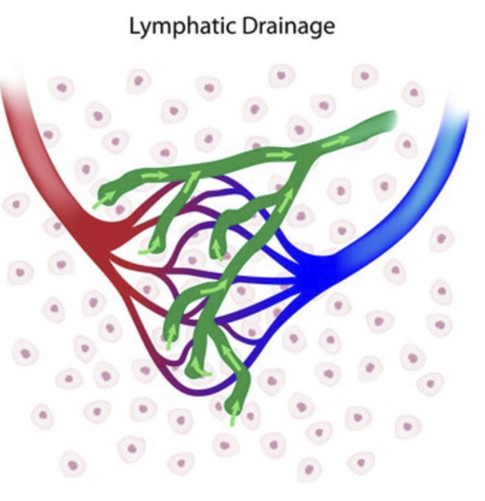 Lymphatic Drainage