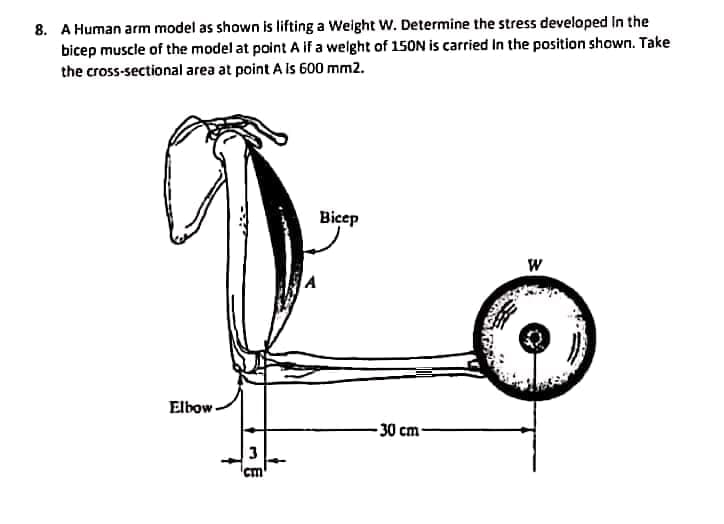8. A Human arm model as shown is lifting a Weight W. Determine the stress developed In the
bicep muscle of the model at point A if a welght of 150N is carried In the position shown. Take
the cross-sectional area at point A Is 600 mm2.
Bicep
Elbow -
30 cm-
Cm
