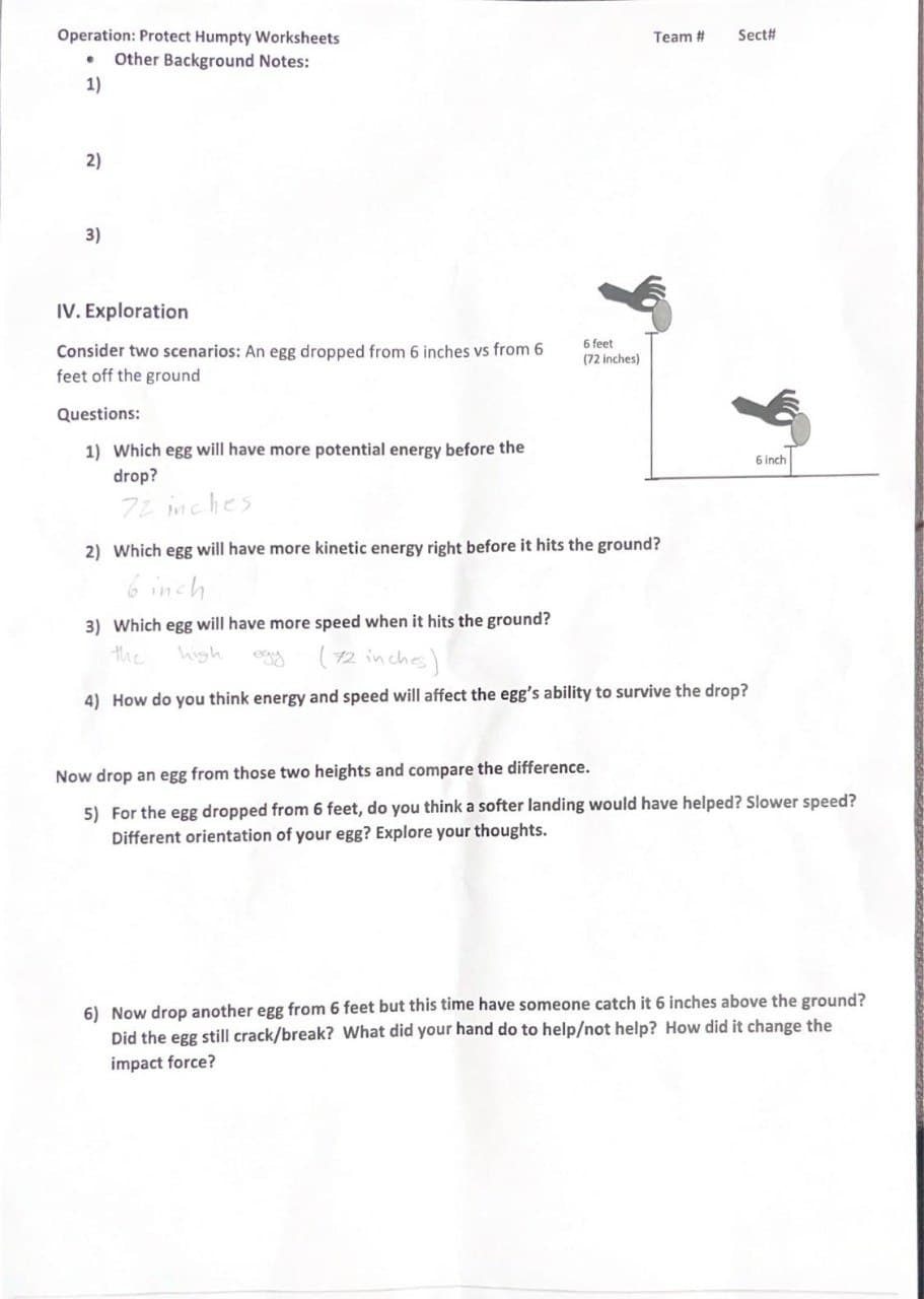 Operation: Protect Humpty Worksheets
Other Background Notes:
1)
2)
3)
IV. Exploration
Consider two scenarios: An egg dropped from 6 inches vs from 6
feet off the ground
Questions:
1) Which egg will have more potential energy before the
drop?
22 inches
6 feet
(72 inches)
Team #
2) Which egg will have more kinetic energy right before it hits the ground?
inch
Sect#
3) Which egg will have more speed when it hits the ground?
the
high
(72 inches)
4) How do you think energy and speed will affect the egg's ability to survive the drop?
6 inch
Now drop an egg from those two heights and compare the difference.
5) For the egg dropped from 6 feet, do you think a softer landing would have helped? Slower speed?
Different orientation of your egg? Explore your thoughts.
6) Now drop another egg from 6 feet but this time have someone catch it 6 inches above the ground?
Did the egg still crack/break? What did your hand do to help/not help? How did it change the
impact force?