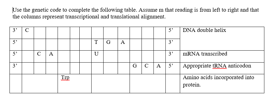 Use the genetic code to complete the following table. Assume m that reading is from left to right and that
the columns represent transcriptional and translational alignment.
3' C
5'
DNA double helix
5'
T
G
A
3'
5'
с А
U
3'
MRNA transcribed
C A
Appropriate tRNA anticodon
3'
G
5'
Trp
Amino acids incorporated into
ww.tr
protein.
