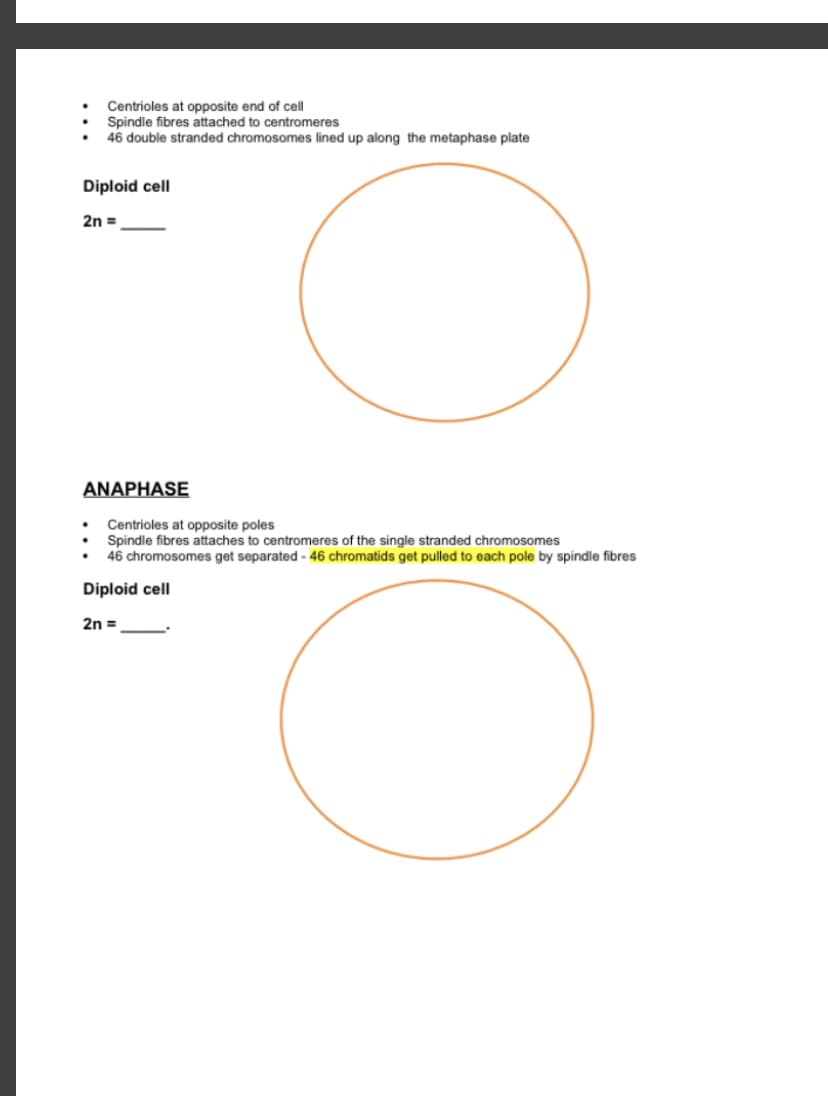Centrioles at opposite end of cell
Spindle fibres attached to centromeres
46 double stranded chromosomes lined up along the metaphase plate
Diploid cell
2n =
ANAPHASE
Centrioles at opposite poles
Spindle fibres attaches to centromeres of the single stranded chromosomes
46 chromosomes get separated - 46 chromatids get pulled to each pole by spindle fibres
Diploid cell
2n =
