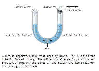 Cotton ball-
Stopper
Pressure/suction
met - blo- thr leu * thi
met * blot thr- leu- thi-
Filter
A U-tube apparatus like that used by Davis. The fluid in the
tube is forced through the filter by alternating suction and
pressure. However, the pores in the filter are too small for
the passage of bacteria.
