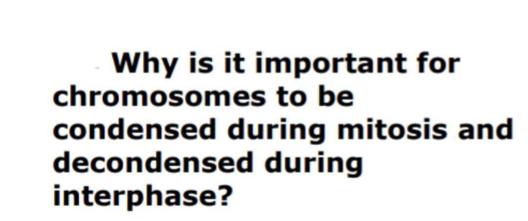 Why is it important for
chromosomes to be
condensed during mitosis and
decondensed during
interphase?
