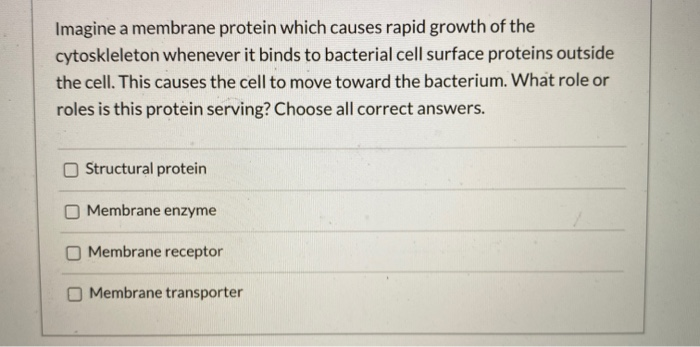 Imagine a membrane protein which causes rapid growth of the
cytoskleleton whenever it binds to bacterial cell surface proteins outside
the cell. This causes the cell to move toward the bacterium. What role or
roles is this protein serving? Choose all correct answers.
Structural protein
Membrane enzyme
Membrane receptor
Membrane transporter