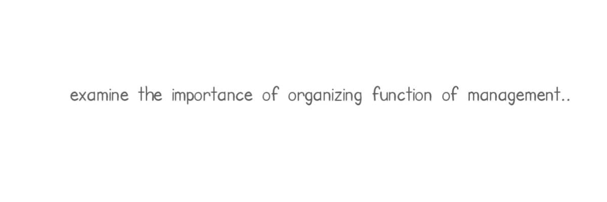 examine the importance of organizing function of management..