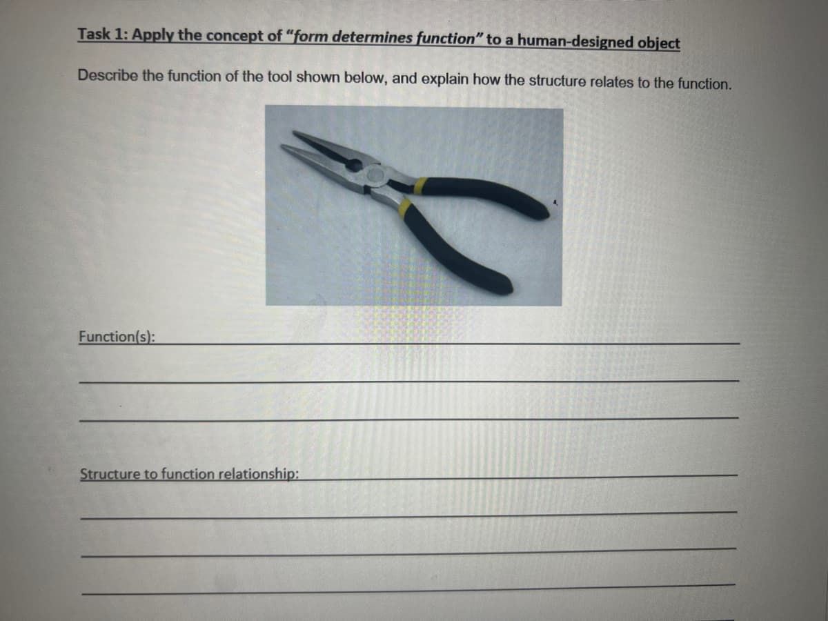 Task 1: Apply the concept of "form determines function" to a human-designed object
Describe the function of the tool shown below, and explain how the structure relates to the function.
Function(s):
Structure to function relationship: