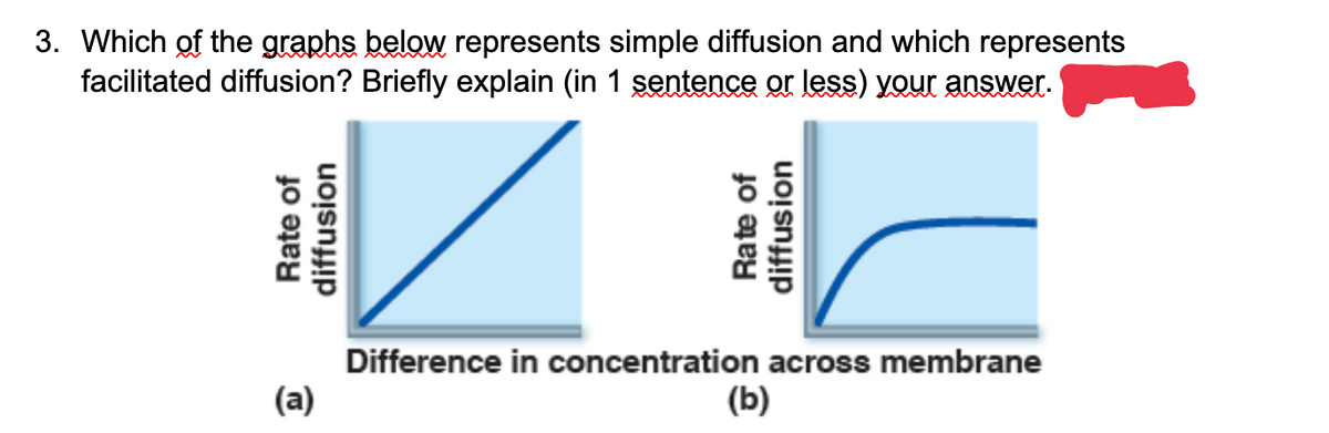 3. Which of the graphs below represents simple diffusion and which represents
facilitated diffusion?
Briefly explain (in 1 sentence or less) your answer.
Rate of
diffusion
(a)
Rate of
diffusion
Difference in concentration across membrane
(b)