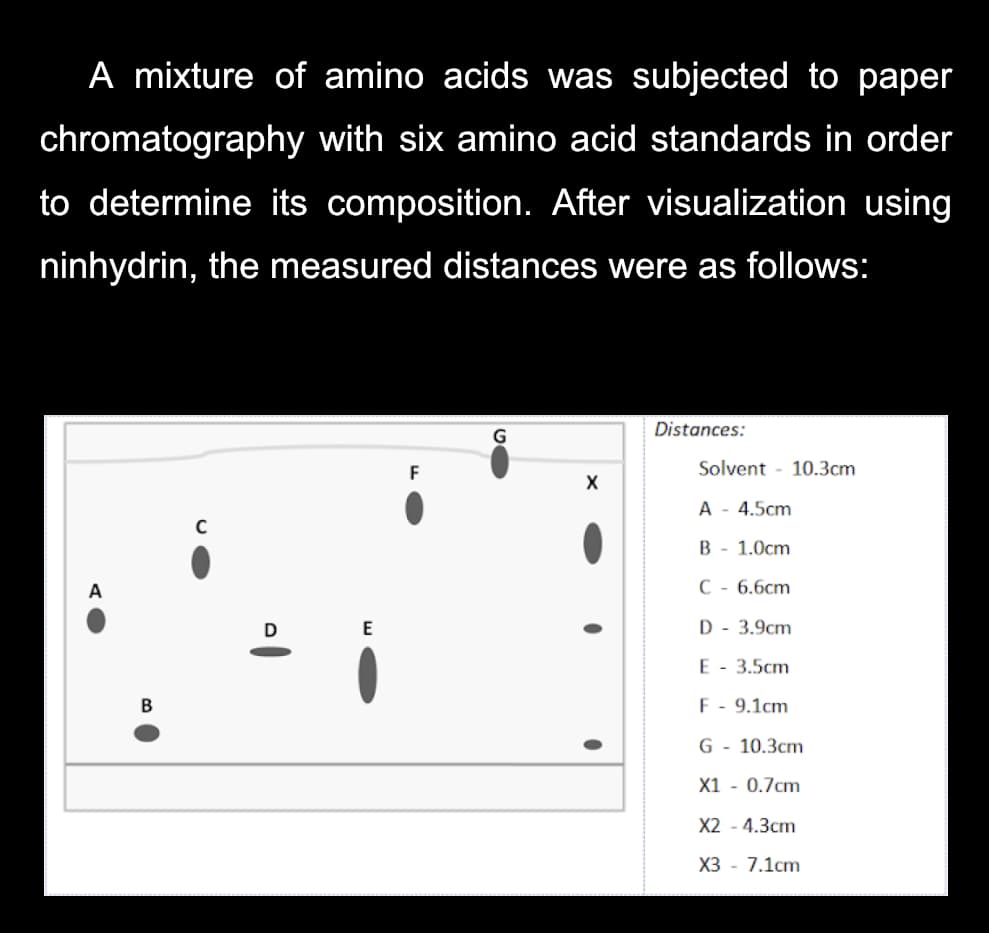 A mixture of amino acids was subjected to paper
chromatography with six amino acid standards in order
to determine its composition. After visualization using
ninhydrin, the measured distances were as follows:
Distances:
F
Solvent - 10.3cm
X
A - 4.5cm
B - 1.0cm
A
C - 6.6cm
D
E
D - 3.9cm
E - 3.5cm
B
F - 9.1cm
G - 10.3cm
X1 - 0.7cm
X2 - 4.3cm
X3 - 7.1cm
