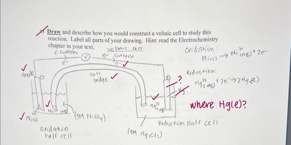 Draw and describe how you would construct a voltaic cell to study this
reaction. Label all parts of your drawing. Hint: read the Electrochemistry
chapter in your text.
4 Curents
voaic alI
current
arid ation:
->
Ni aet 2e
Nies)
Reduction:
Anode
SaH
bridge
24
where Hgle)?
21
Nizt
AM NISOY)
Reduction Half Cell
O xid ation
half cell
(1M
