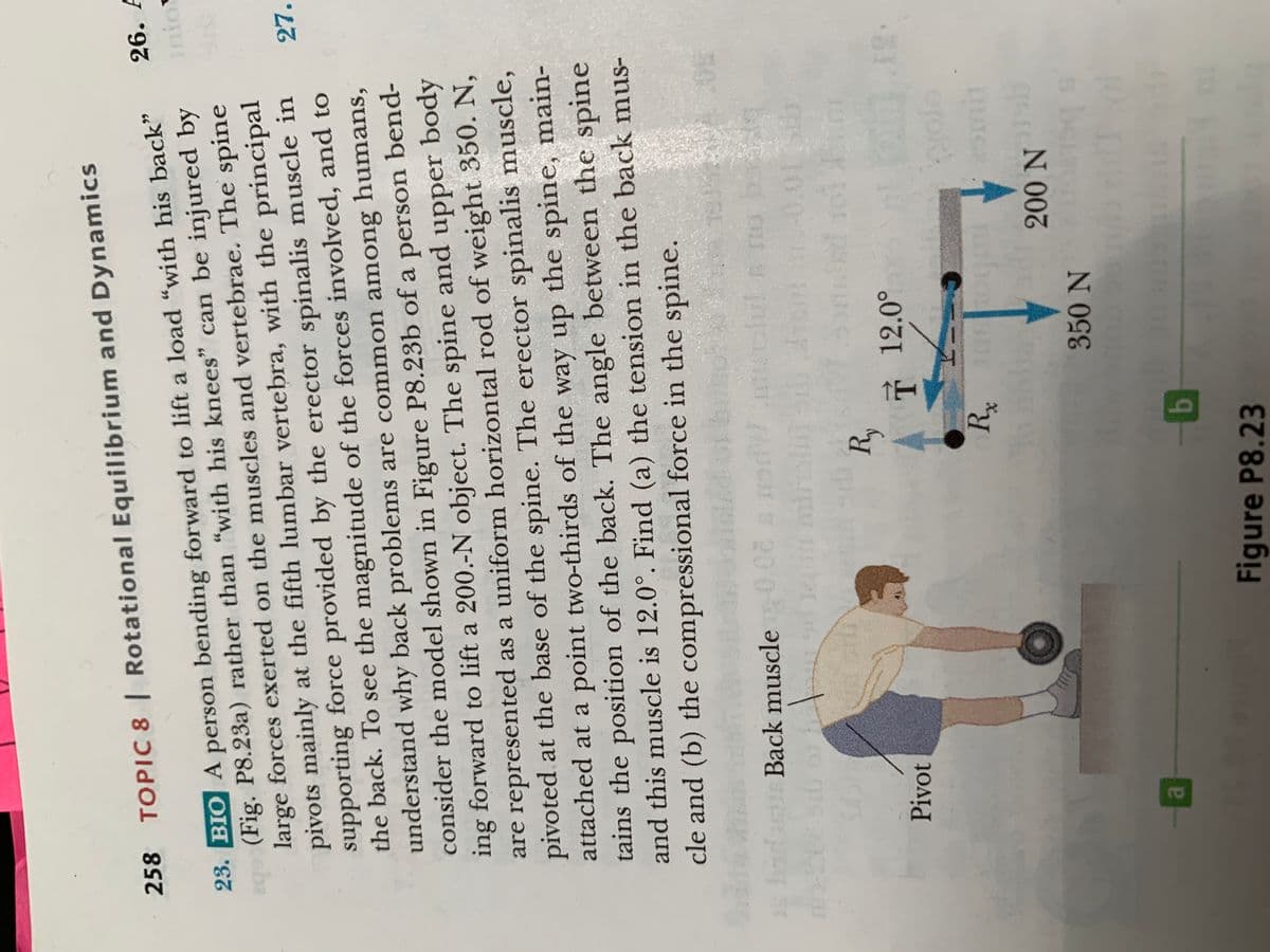 258 TOPIC 8 | Rotational Equilibrium and Dynamics
26. A
23. BIO A person bending forward to lift a load "with his back"
eg (Fig. P8.23a) rather than "with his knees" can be injured by
large forces exerted on the muscles and vertebrae. The spine
pivots mainly at the fifth lumbar vertebra, with the principal
supporting force provided by the erector spinalis muscle in
the back. To see the magnitude of the forces involved, and to
understand why back problems are common among humans,
consider the model shown in Figure P8.23b of a person bend-
ing forward to lift a 200.-N object. The spine and upper body
are represented as a uniform horizontal rod of weight 350. N,
pivoted at the base of the spine. The erector spinalis muscle,
attached at a point two-thirds of the way up the spine, main-
tains the position of the back. The angle between the spine
and this muscle is 12.0°. Find (a) the tension in the back mus-
27.
cle and (b) the compressional force in the spine.
hadacu Back muscle0.0
ST
10
Pivot
* 12.0°
200N
350 N
Figure P8.23
