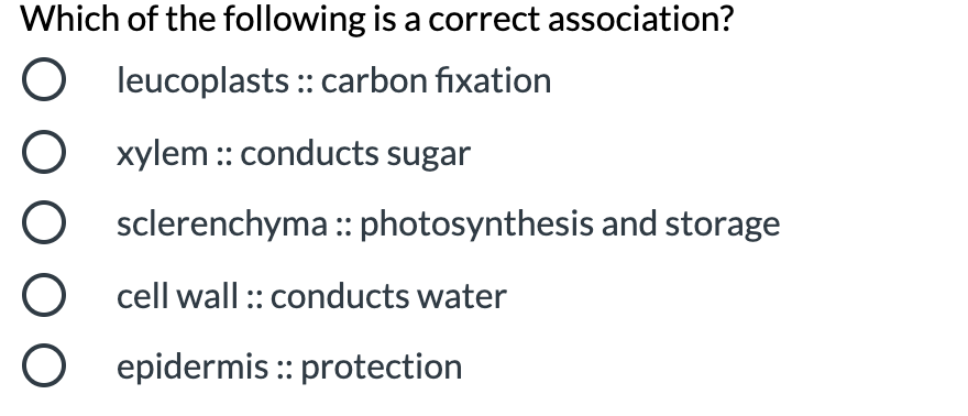 Which of the following is a correct association?
O leucoplasts :: carbon fixation
O xylem:: conducts sugar
O sclerenchyma :: photosynthesis and storage
O cell wall :: conducts water
O epidermis :: protection
