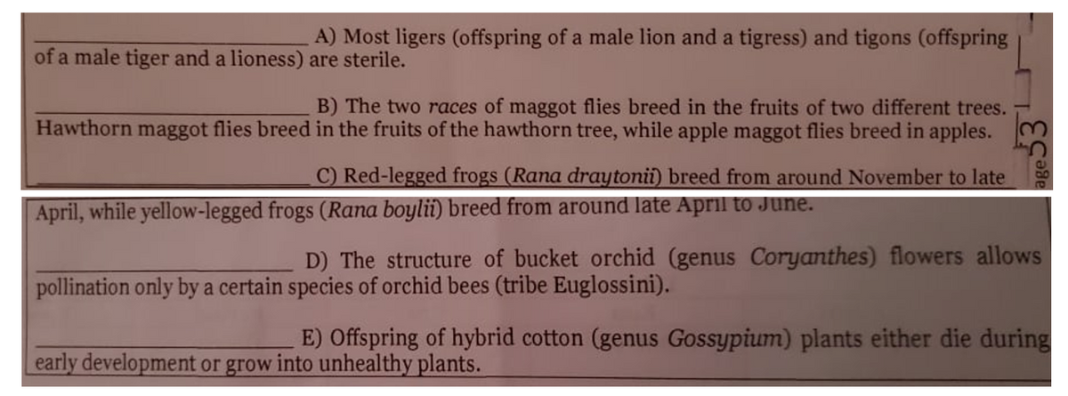 A) Most ligers (offspring of a male lion and a tigress) and tigons (offspring
of a male tiger and a lioness) are sterile.
B) The two races of maggot flies breed in the fruits of two different trees.
Hawthorn maggot flies breed in the fruits of the hawthorn tree, while apple maggot flies breed in apples.
C) Red-legged frogs (Rana draytonii) breed from around November to late
April, while yellow-legged frogs (Rana boylii) breed from around late April to June.
D) The structure of bucket orchid (genus Coryanthes) flowers allows
pollination only by a certain species of orchid bees (tribe Euglossini).
E) Offspring of hybrid cotton (genus Gossypium) plants either die during
early development or grow into unhealthy plants.
