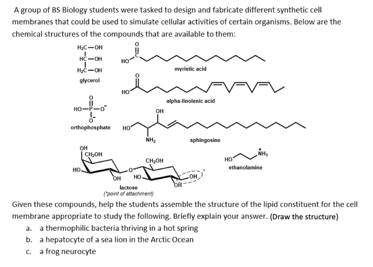 A group of BS Biology students were tasked to design and fabricate different synthetic cell
membranes that could be used to simulate cellular activities of certain organisms. Below are the
chemical structures of the compounds that are available to them:
H2C-OH
НС — ОН
HO
H2C-OH
myristic acid
glycerol
НО
alpha-linolenic acid
HO-P-o
OH
orthophosphate
HO
NH2
sphingosine
OH
CH2OH
NH3
CH2OH
HO
ethanolamine
HO
OH
OH
OH
Но.
lactose
("point of attachment)
Given these compounds, help the students assemble the structure of the lipid constituent for the cell
membrane appropriate to study the following. Briefly explain your answer. (Draw the structure)
а.
a thermophilic bacteria thriving in a hot spring
b.
a hepatocyte of a sea lion in the Arctic Ocean
С.
a frog neurocyte

