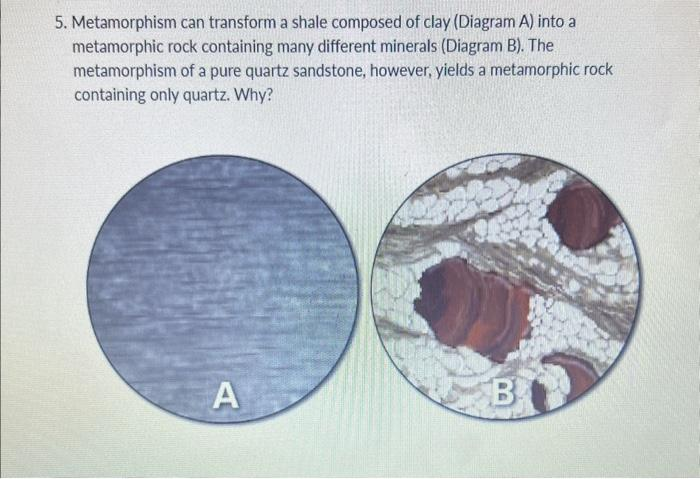 5. Metamorphism can transform a shale composed of clay (Diagram A) into a
metamorphic rock containing many different minerals (Diagram B). The
metamorphism of a pure quartz sandstone, however, yields a metamorphic rock
containing only quartz. Why?
A
B
