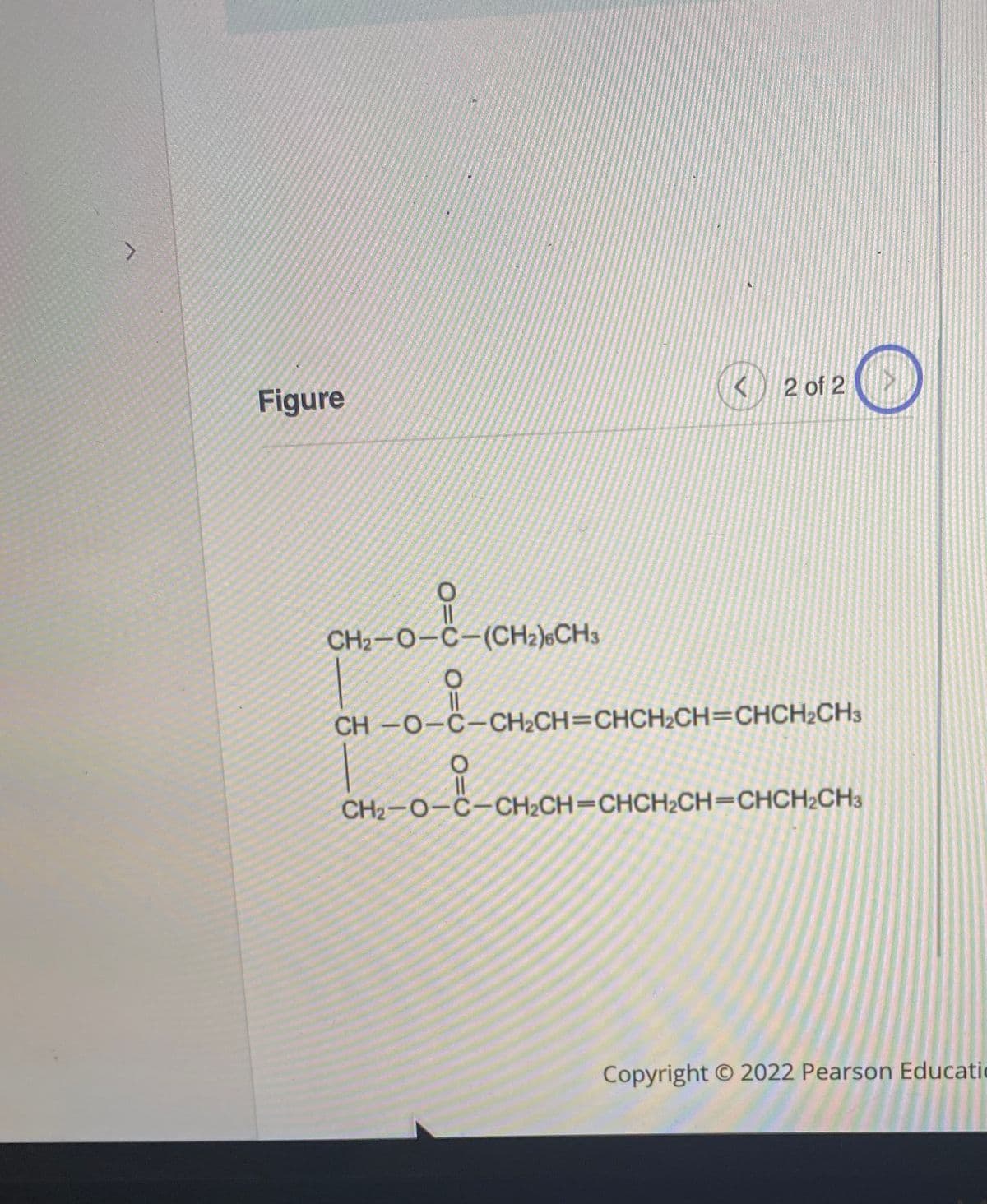 Figure
2 of 2
CH2-O-C=(CH2)«CH3
CH -0-C-CH2CH=CHCH2CH=CHCH2CH3
CH2-O-C-CH2CH=CHCH2CH=CHCH2CH3
Copyright O 2022 Pearson Educatic
O=C %=U
O=C

