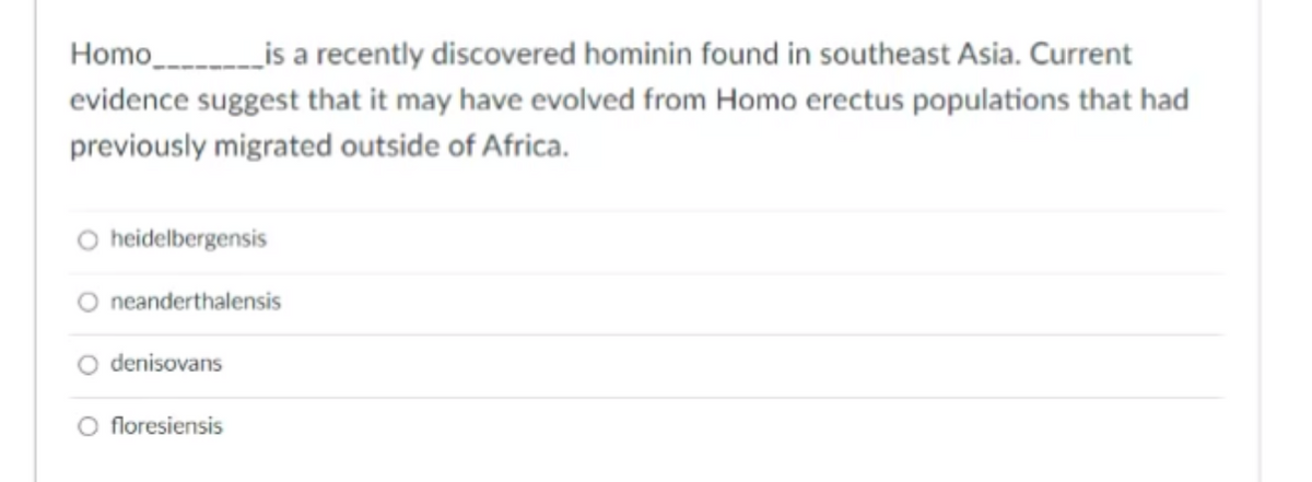 Homo is a recently discovered hominin found in southeast Asia. Current
evidence suggest that it may have evolved from Homo erectus populations that had
previously migrated outside of Africa.
heidelbergensis
neanderthalensis
denisovans
O floresiensis
