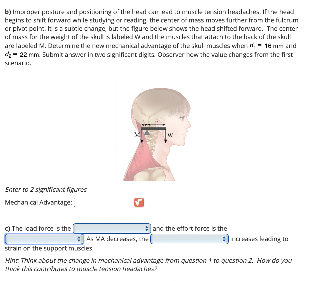 b) Improper posture and positioning of the head can lead to muscle tension headaches. If the head
begins to shift forward while studying or reading, the center of mass moves further from the fulcrum
or pivot point. It is a subtle change, but the figure below shows the head shifted forward. The center
of mass for the weight of the skull is labeled W and the muscles that attach to the back of the skull
are labeled M. Determine the new mechanical advantage of the skull muscles when d₁ = 16 mm and
d₂ = 22 mm. Submit answer in two significant digits. Observer how the value changes from the first
scenario.
Enter to 2 significant figures
Mechanical Advantage:
c) The load force is the
M
strain on the support muscles.
◆ As MA decreases, the
W
◆ and the effort force is the
increases leading to
Hint: Think about the change in mechanical advantage from question 1 to question 2. How do you
think this contributes to muscle tension headaches?