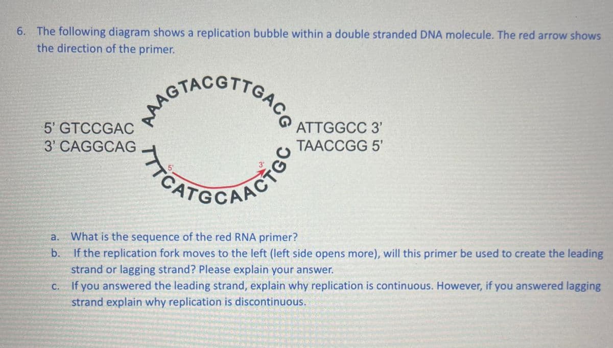 6. The following diagram shows a replication bubble within a double stranded DNA molecule. The red arrow shows
the direction of the primer.
AAAGIACGTIGAC ATTGGCC 3'
TAACCGG 5'
5' GTCCGAC
3' CAGGCAG
C.
5
CAT&CAACTO
a. What is the sequence of the red RNA primer?
b. If the replication fork moves to the left (left side opens more), will this primer be used to create the leading
strand or lagging strand? Please explain your answer.
If you answered the leading strand, explain why replication is continuous. However, if you answered lagging
strand explain why replication is discontinuous.