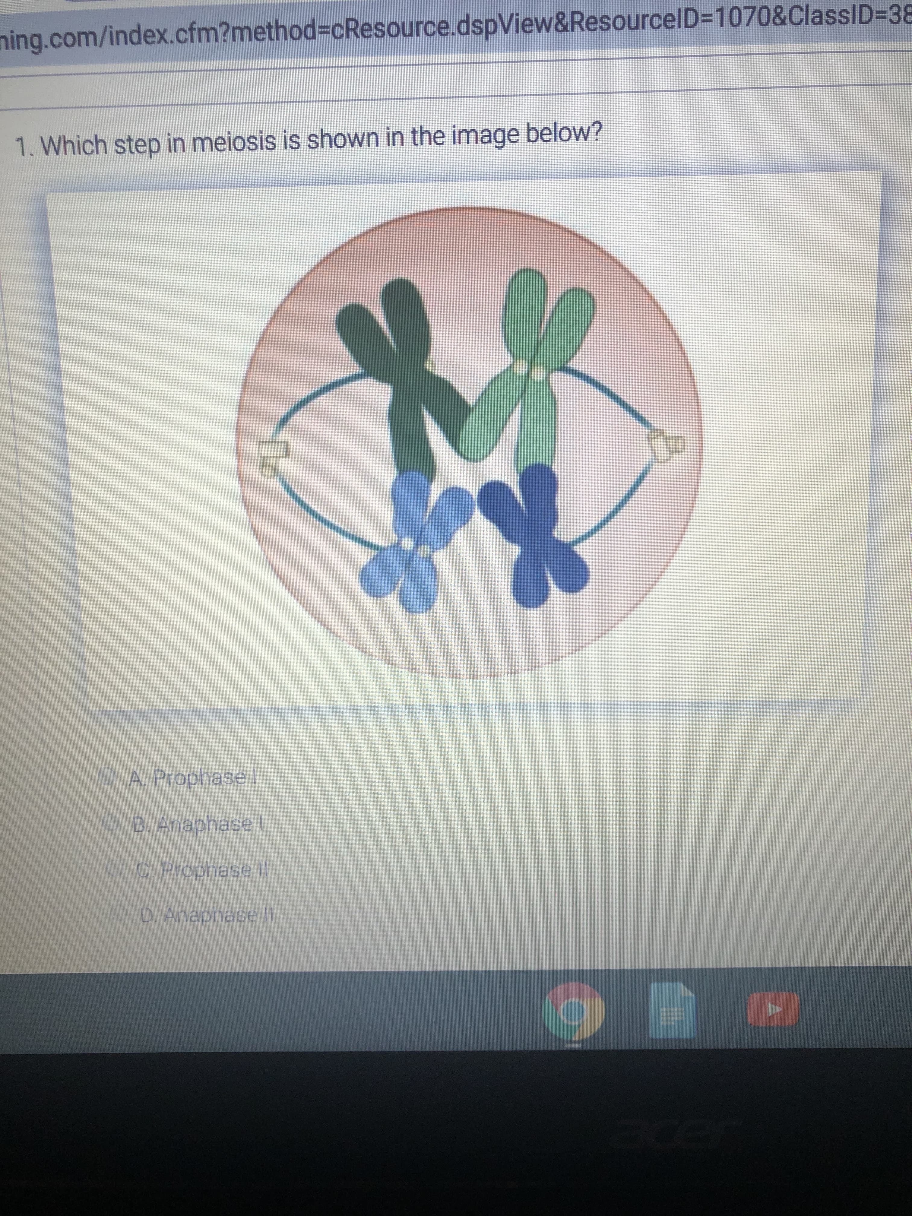 ning.com/index.cfm?method%3DcResource.dspView&ResourcelD=D1070&ClassID=D38
1. Which step in meiosis is shown in the image below?
A. Prophase l
OB. Anaphase I
C. Prophase II
OD AnaphaselI
