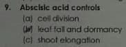 9.
Abscisic acid controls
(a) cell division
( leaf fall and dormancy
(c) shoot elongation
