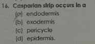 16. Casparlan slrip occurs In a
(e) endodermis
(b) exodermis
(c) pericycle
(d) epidermis.
