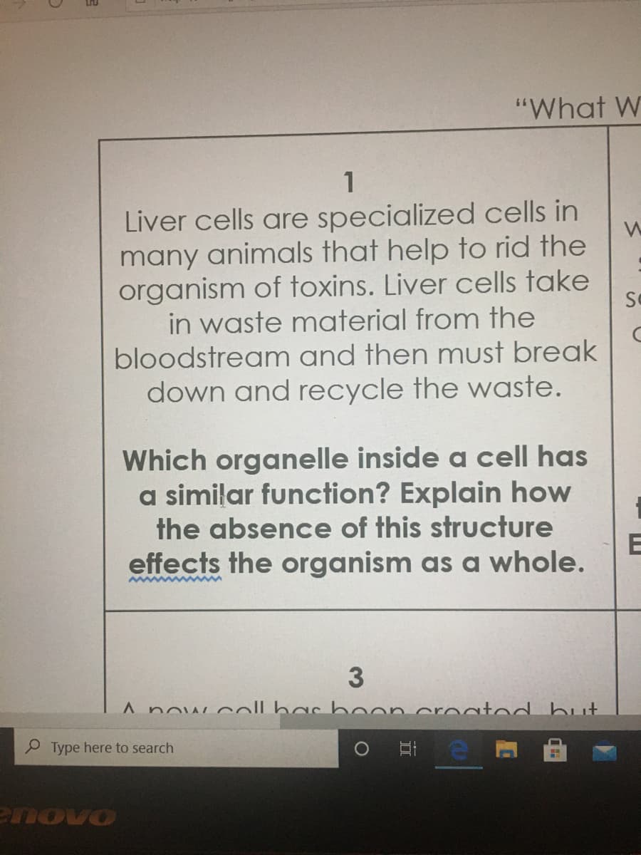 1
Liver cells are specialized cells in
many animals that help to rid the
organism of toxins. Liver cells take
in waste material from the
bloodstream and then must break
down and recycle the waste.
Which organelle inside a cell has
a similar function? Explain how
the absence of this structure
effects the organism as a whole.
