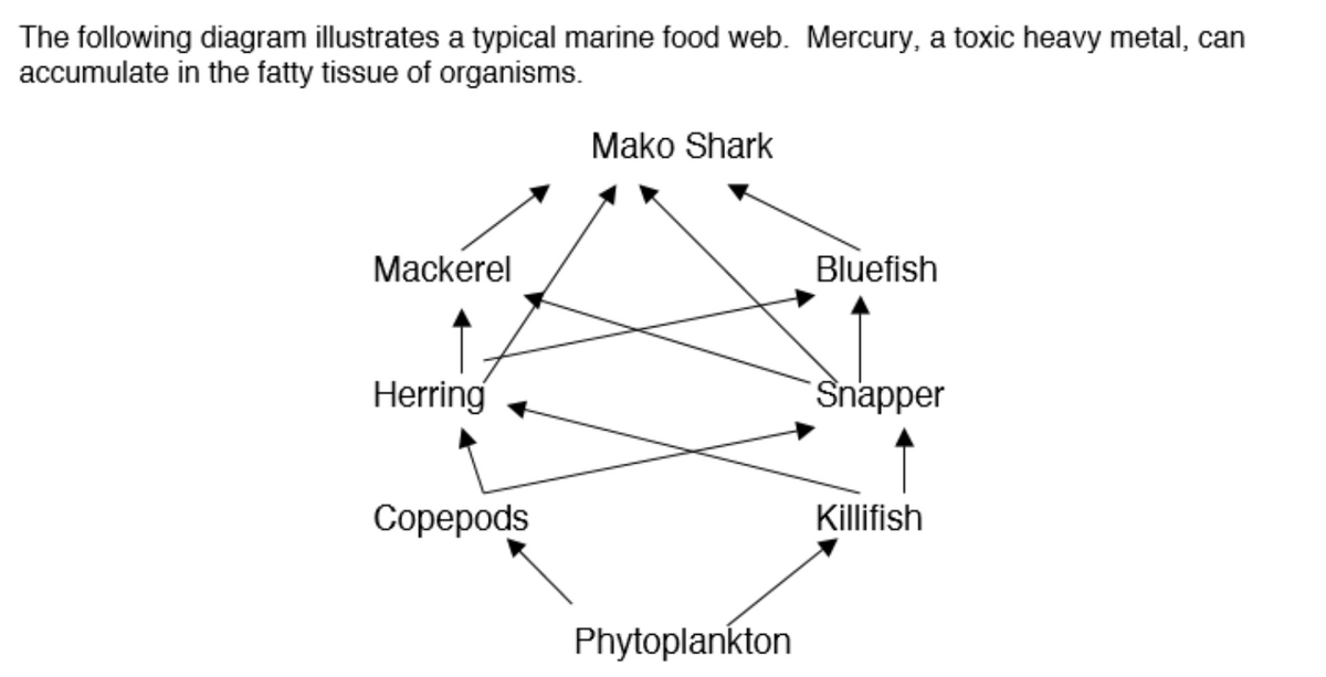 The following diagram illustrates a typical marine food web. Mercury, a toxic heavy metal, can
accumulate in the fatty tissue of organisms.
Mackerel
Herring
Copepods
Mako Shark
Phytoplankton
Bluefish
Snapper
Killifish