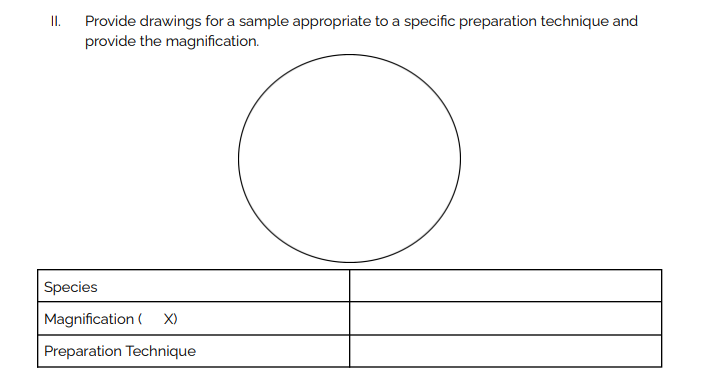 I.
Provide drawings for a sample appropriate to a specific preparation technique and
provide the magnification.
Species
Magnification ( X)
Preparation Technique
