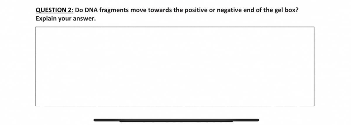 QUESTION 2: Do DNA fragments move towards the positive
Explain your answer.
or negative end of the gel box?
