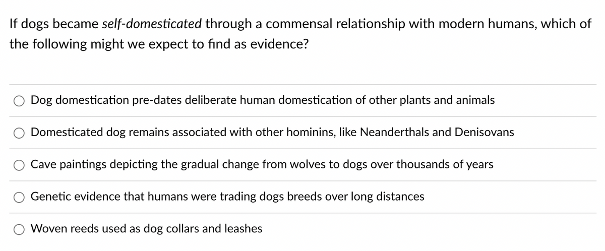 If dogs became self-domesticated through a commensal relationship with modern humans, which of
the following might we expect to find as evidence?
Dog domestication pre-dates deliberate human domestication of other plants and animals
Domesticated dog remains associated with other hominins, like Neanderthals and Denisovans
Cave paintings depicting the gradual change from wolves to dogs over thousands of years
Genetic evidence that humans were trading dogs breeds over long distances
Woven reeds used as dog collars and leashes
