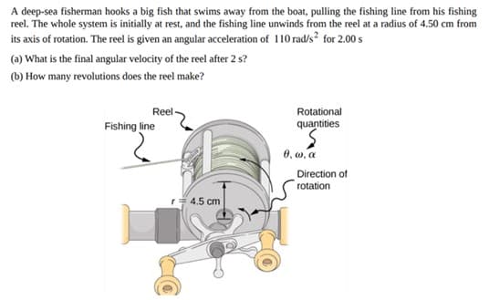 A deep-sea fisherman hooks a big fish that swims away from the boat, pulling the fishing line from his fishing
reel. The whole system is initially at rest, and the fishing line unwinds from the reel at a radius of 4.50 cm from
its axis of rotation. The reel is given an angular acceleration of 110 rad/s² for 2.00 s
(a) What is the final angular velocity of the reel after 2 s?
(b) How many revolutions does the reel make?
Reel-
Fishing line
r = 4.5 cm
Rotational
quantities
0, w, a
Direction of
rotation