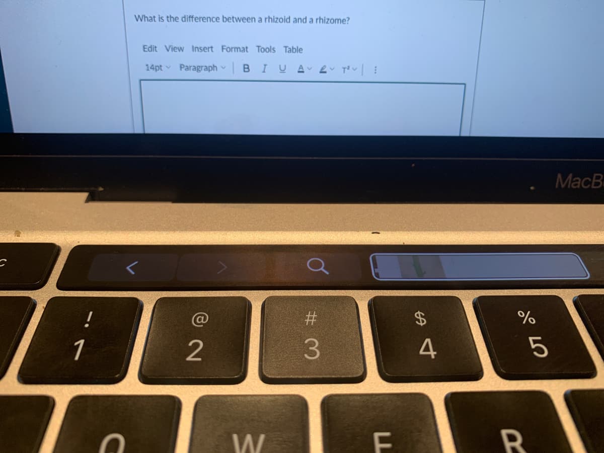 What is the difference between a rhizoid and a rhizome?
Edit View Insert Format Tools Table
14pt Paragraph BI U A L Tv
MacB
@
#3
$4
1
3.
4
5
W
R
%24

