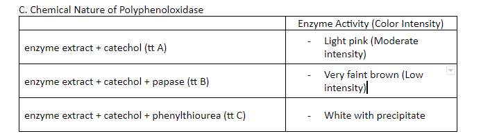 C. Chemical Nature of Polyphenoloxidase
Enzyme Activity (Color Intensity)
- Light pink (Moderate
intensity)
enzyme extract + catechol (tt A)
Very faint brown (Low
intensity)|
enzyme extract + catechol + papase (tt B)
enzyme extract + catechol + phenylthiourea (tt C)
White with precipitate

