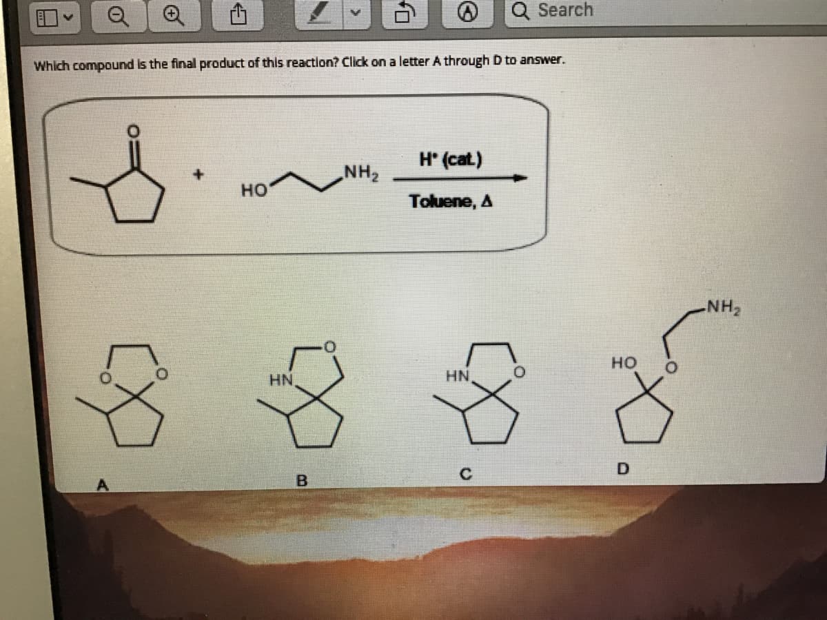 Q Search
Which compound is the final product of this reaction? Click on a letter A through D to answer.
H (cat.)
HO
NH2
Toluene, A
NH,
но
HN
HN
C
