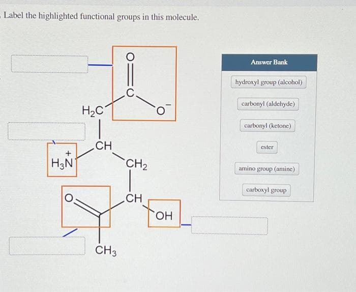 - Label the highlighted functional groups in this molecule.
+
H3N
H₂C
CH
CH3
O
C
CH₂
CH
OH
Answer Bank
hydroxyl group (alcohol)
carbonyl (aldehyde)
carbonyl (ketone)
ester
amino group (amine)
carboxyl group